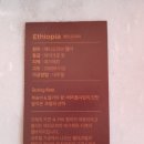 르시랑스 이미지