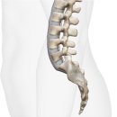 바로탄탄신경외과의원 이미지