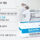 백영옥 이미지