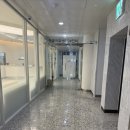 영등포동물병원 | 신길 동물병원 동물의료센터24인치 영등포 동물병원