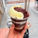 오크베리(OAKBERRY) - 양천구 | [대구신세계 맛집] 오크베리 아사이볼 OAKBERRY ACAI 내돈내산 솔직후기(재방문 의사는🤔)