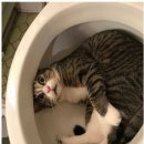 경대연합의원 이미지