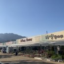 자양꽃직매장 이미지
