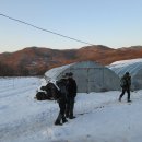 승구농장 이미지