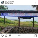 논짓물비치하우스 | 제주도 한달살기 금모래해변 화순담수풀장_31