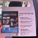 펫가드 펫택시 | 재롱이랑 함께한 ‘카카오 펫택시’ 내돈내산 후기!! / 펫택시 가격 / 카시트 시범운영 택시