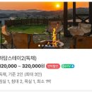 양평 반려견동반 독채펜션 [ 하담스테이 ] 후기｜넓은 잔디마당이 매력적인 숙소
