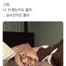 만대공원 화장실 네이버블로그