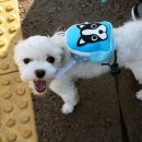 코코멍 이미지