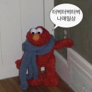 길세이로무시 이미지