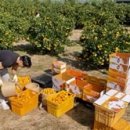 까미농장 이미지