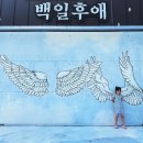 고창군보건소 | 고창디저트카페 여름철 달콤하고 시원한 시그니처 망고빙수 먹으러 다녀온 백일후애