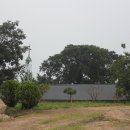 수원가톨릭대학교 대학원 이미지