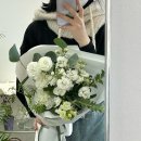 아넌드포레