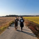 세도 다근진나루 및 구경정 네이버블로그