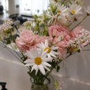 유성학하충전소 | [대전 도안동 필라테스] 1:1 수업 후기 리주클래식필라테스! 허리 통증 잡고 샵에서도 할 수 있는 홈트...