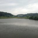 금암저수지 이미지