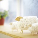 보송보송 이미지