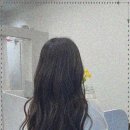 모뮤토 이미지