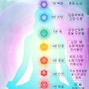 기체조(단전호흡) | [브레인명상 센터 요가 명상]차크라 오일명상 체험해보세요~