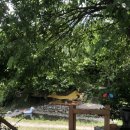 새자리농원 이미지