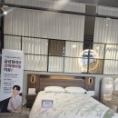 휴테크 의정부직영전시장 | 금성침대 48년 기술력 포천송우점에서 직접 체험해보세요