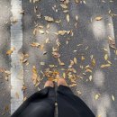 신율 | 아무나 나랑 좀 놀아줘