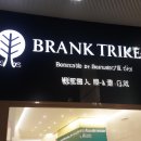 보석사   은행나무 | 은행나무 보석사 방문 후기: 쾌적한 분위기와 전문가 서비스