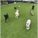 아이조아요양보호소 전남광주점 네이버블로그
