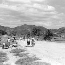 신안동3 이미지