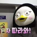 위치스위츠
