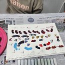 노원-상계-2696 이미지