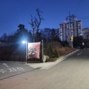 삼거리 골프존 | 이천 국수 맛집 멸치국시와돈까스 방문 후기 임산부 추천