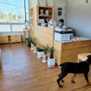 중부동물병원 이미지