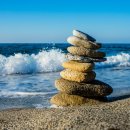 루원 센트럴 동물의료센터 이미지