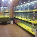 울산 제이앤독 애견샵 이미지