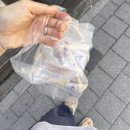 (주)프리팹 | 선릉 한티 케이크 몽트 쌀케이크 맛집 내돈내산 후기 (가격 주차)