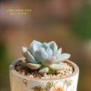 먼로농장 이미지