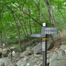 노고단-4 이미지