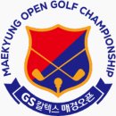 GS칼텍스 매경오픈 멀리건 논란 | 한 홀의 판정이 연장전까지 흔든 흐름