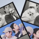 회기12 이미지