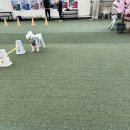 동해선 센텀시티역 스포독 뚜벅이 후기