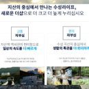 도아메디 이미지