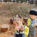 부여 유아숲체험원 이미지