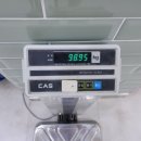 해뜨는해수월드 이미지