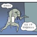 반월당PT 더밸런스PT 1회차 피티 대만족 후기(빵댕이 비포/애프터)