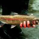 일승화장품 이미지