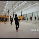 정자동 914~정자동 695-1 | [ 40대 언니의 번지핏 체험] 유산소와 근력 운동을 한번에~ 날라다니는 운동 (정자역 번지/ 분당 필라테스)