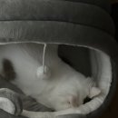 씨유 진영대로점 | 실례실~례 실례합니당~~ 실례실례하세여~~