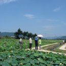 기쁨목장 이미지